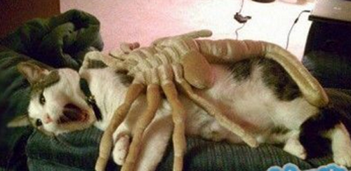 麻麻，快救我！