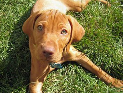 undefined{{pos:,w:,h:}}