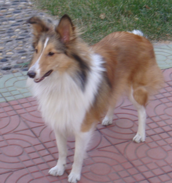 undefined{{pos:,w:,h:}}