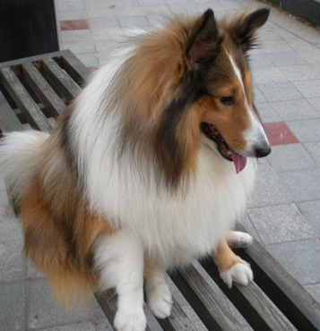 undefined{{pos:,w:,h:}}