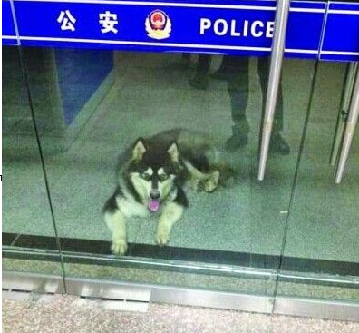 undefined{{pos:,w:,h:}}