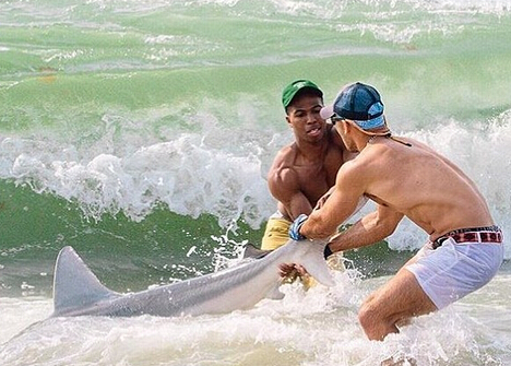 男子徒手抓鲨鱼后放生 呼吁人们保护鲨