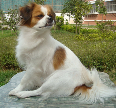 undefined{{pos:,w:,h:}}