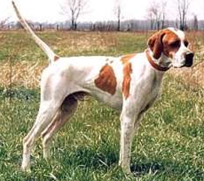 undefined{{pos:,w:,h:}}