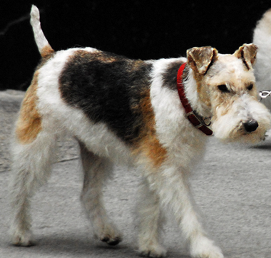 undefined{{pos:,w:,h:}}