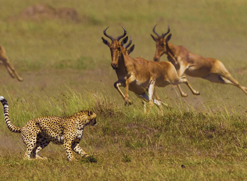 undefined{{pos:,w:,h:}}