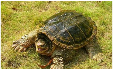 undefined{{pos:,w:,h:}}