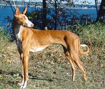 undefined{{pos:,w:,h:}}