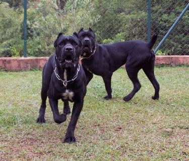 undefined{{pos:,w:,h:}}