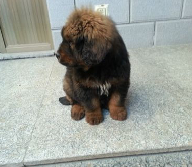 undefined{{pos:,w:,h:}}