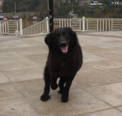 undefined{{pos:,w:,h:}}