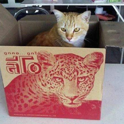 一切以实物为准