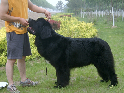 undefined{{pos:,w:,h:}}