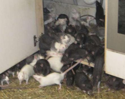 undefined{{pos:,w:,h:}}