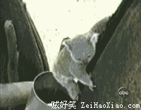 试试水温 哎呀 妈呀 烫死老子啦