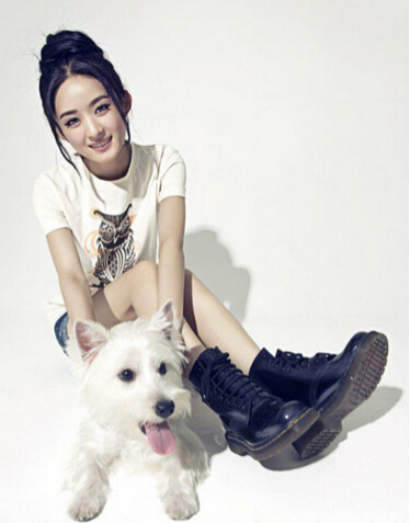 莫文蔚怀抱小狗晒汪星人合影 笑容迷人