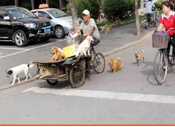 undefined{{pos:,w:,h:}}