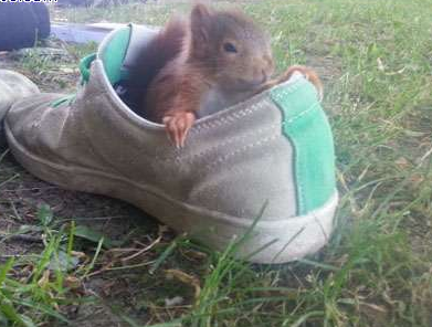 怎么样味还行吗