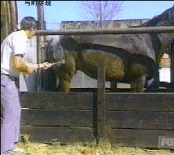 死去 想对我干啥