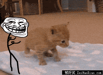 你丫的也太坏了吧