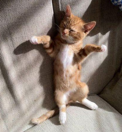 举起手来，搜身！