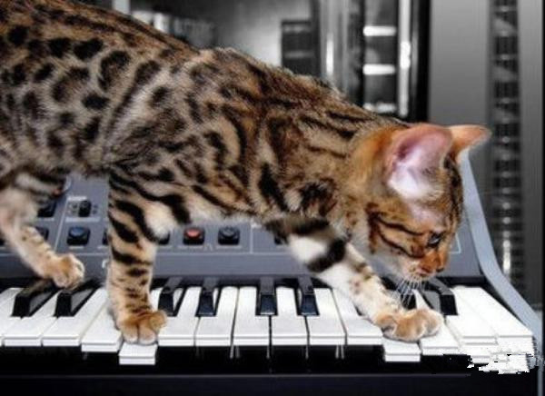 undefined{{pos:,w:,h:}}