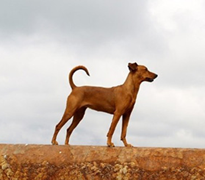 undefined{{pos:,w:,h:}}