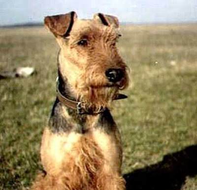 undefined{{pos:,w:,h:}}