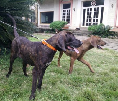 undefined{{pos:,w:,h:}}