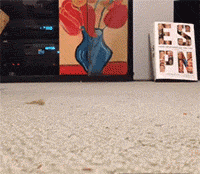 有一只拖鞋怪即将出没