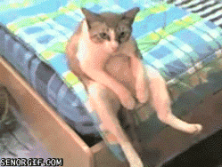 主人 邻居小花有男朋友了，好桑心