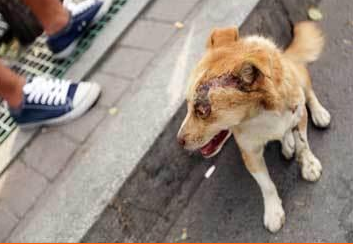 undefined{{pos:,w:,h:}}