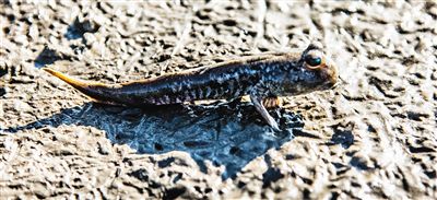 undefined{{pos:,w:,h:}}