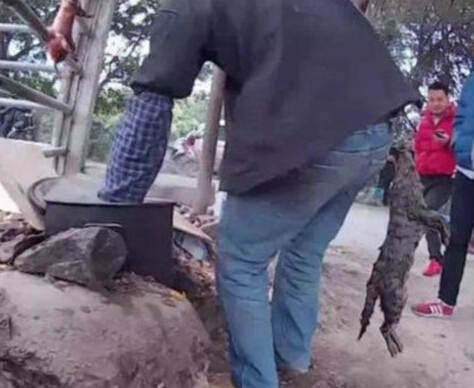 粗心主人狗狗丢路边光洁　好心人雨中撑伞