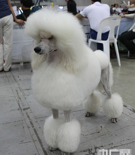 undefined{{pos:,w:,h:}}