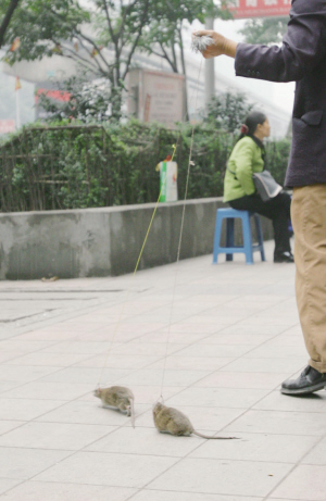 undefined{{pos:,w:,h:}}