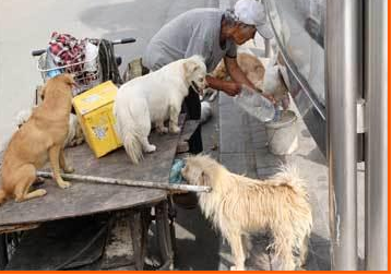 undefined{{pos:,w:,h:}}