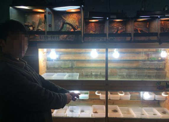 undefined{{pos:,w:,h:}}