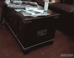 自娱自乐的狗狗