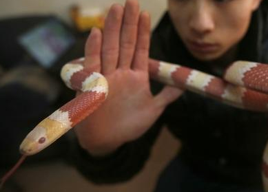 undefined{{pos:,w:,h:}}