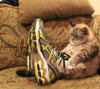 网购果然会失误