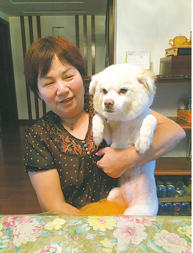 阿姨十年间收养上百条流浪狗引网友热赞