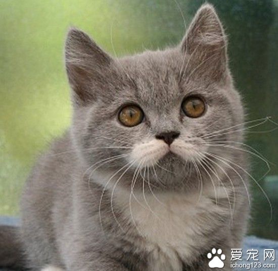 人家小时候也很萌