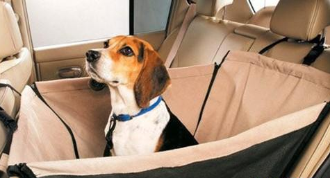 undefined{{pos:,w:,h:}}