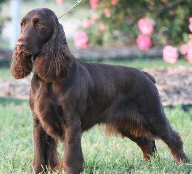 undefined{{pos:,w:,h:}}