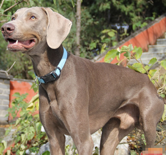 undefined{{pos:,w:,h:}}