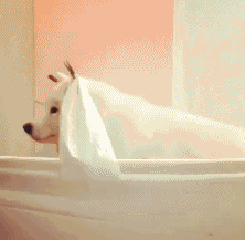 过儿，你在哪里呀