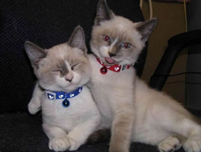 主人，来给我俩照个合影吧