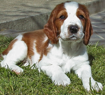 undefined{{pos:,w:,h:}}