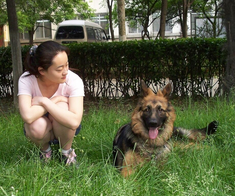 爱犬走丢 狗主人微信圈散步消息2天找回